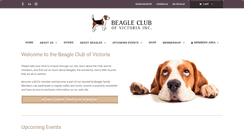 Desktop Screenshot of beagleclubvictoria.com